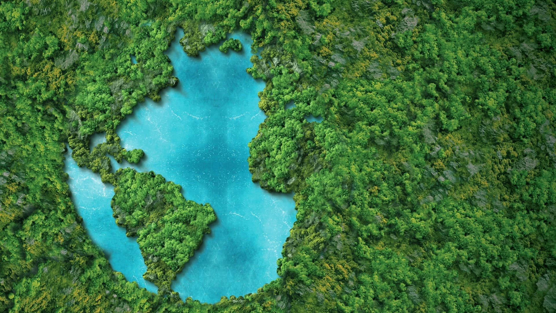 The Ecovie Protecting